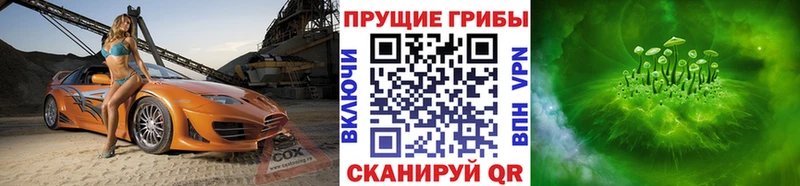 blacksprut вход Кудрово Псилоцибиновые грибы мицелий
