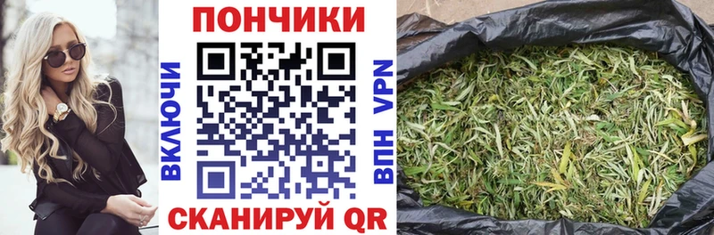 Марихуана гибрид  купить наркоту  Кудрово 